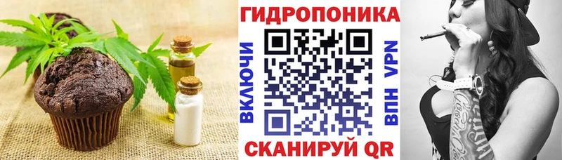 Canna-Cookies марихуана  Купить  Мосальск 
