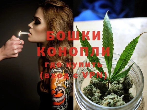 прущая мука Иннополис