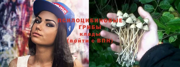 прущая мука Инта