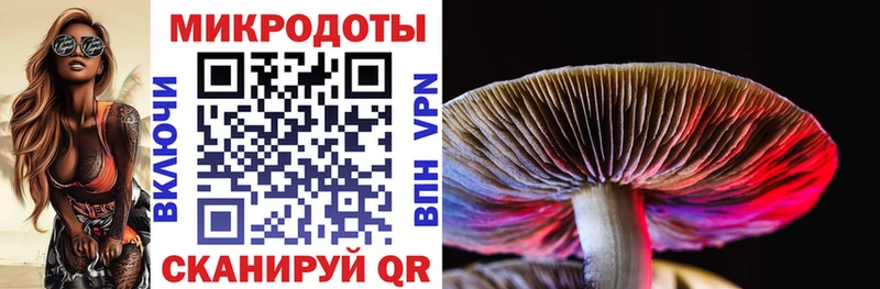 Галлюциногенные грибы MAGIC MUSHROOMS  Купить где  Мосальск 